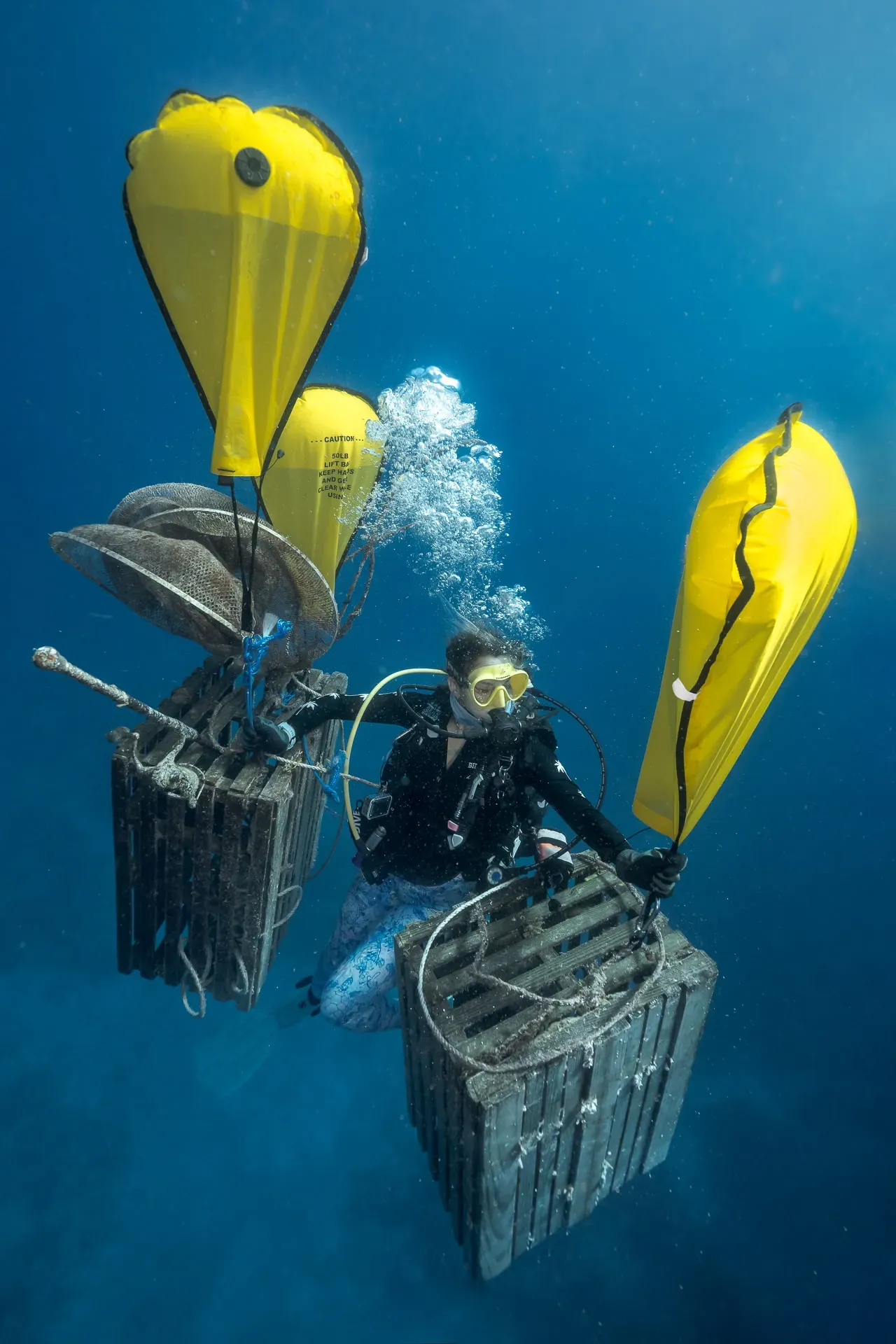 Scuba Diving and dive sites in the Florida Keys